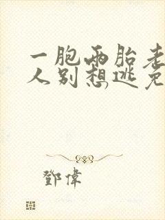 一胞两胎老婆大人别想逃免费阅读封面