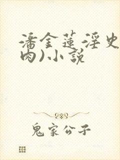 潘金莲淫史(全肉)小说