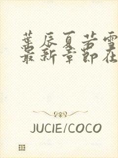 叶辰夏若雪孙怡最新章节在线阅读