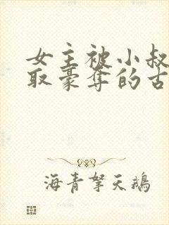 女主被小叔子强取豪夺的古言