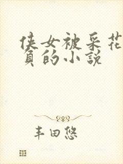侠女被采花贼欺负的小说