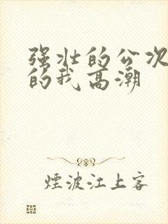 强壮的公次次弄的我高潮