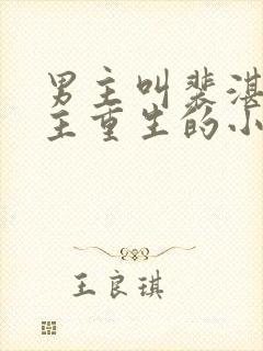 男主叫裴湛,女主重生的小说