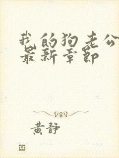 我的狗老公小说最新章节