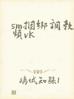 sm捆绑调教视频vk