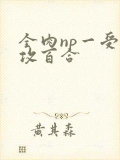 全肉np一受多攻百合