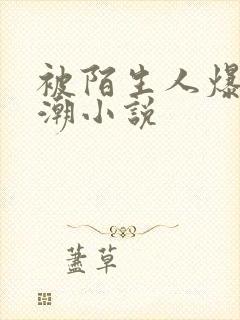 被陌生人爆c高潮小说