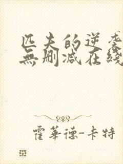 匹夫的逆袭小说无删减在线阅读