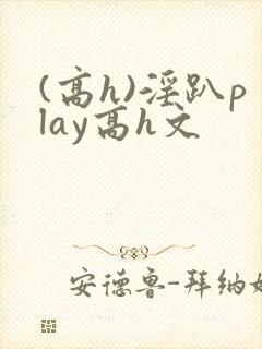 (高h)淫趴play高h文