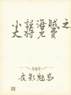 小说海贼之黑暗大将免费封面