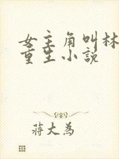 女主角叫林月的重生小说