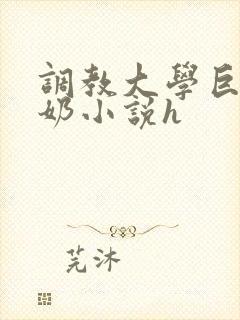 调教大学巨乳骚奶小说h