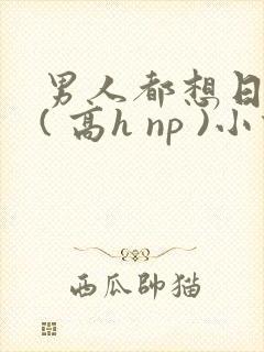 男人都想日她 ( 高h np )小说