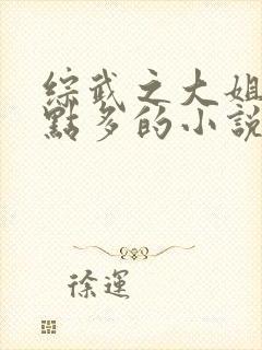 综武之大姐姐有点多的小说封面
