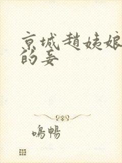 京城赵姨娘是谁的妾