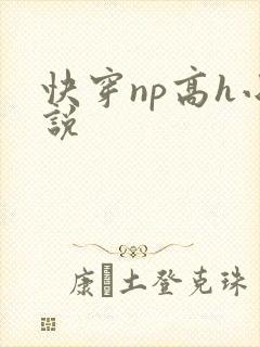 快穿np高h小说