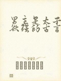 男主是太子占有欲强的古言