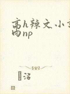 高h辣文小说纯肉np