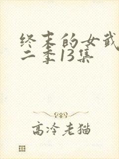 终末的女武神第二季13集