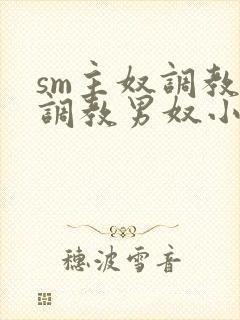 sm主奴调教:调教男奴小说