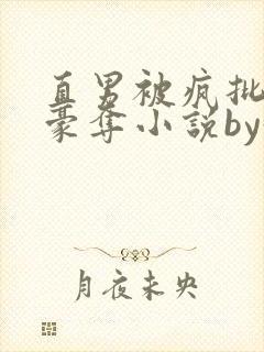 直男被疯批强取豪夺小说by好多人啊封面