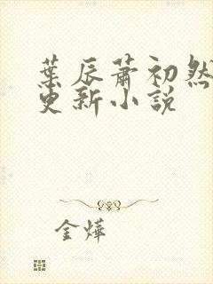 叶辰萧初然最快更新小说