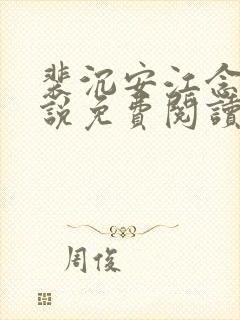 裴沉安江念意小说免费阅读最新章节