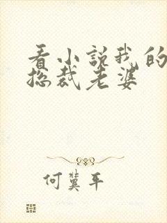 看小说我的冷艳总裁老婆