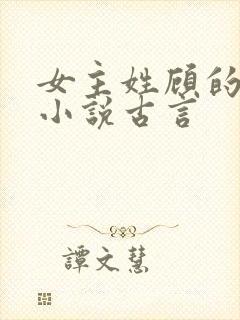 女主姓顾的重生小说古言