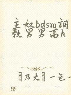 主奴bdsm调教男男高h