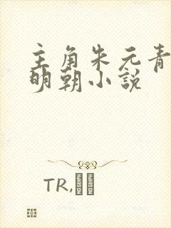 主角朱元青穿越明朝小说