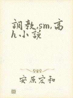 调教,sm,高h小说