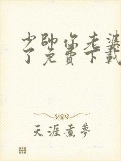 少帅你老婆又跑了免费下载txt