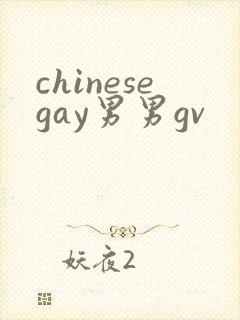 chinesegay男男gv