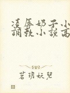 凌辱奶子小说上调教小说高h