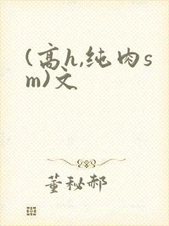 (高h,纯肉sm)文