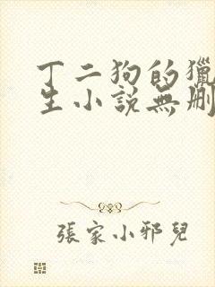 丁二狗的猎艳人生小说无删减小说