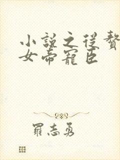 小说之从赘婿到女帝宠臣