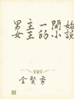 男主一开始嫌弃女主的小说