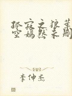 孤寂之狼叶凡司空嫣然未删减txt