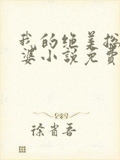 我的绝美总裁老婆小说免费阅读全文