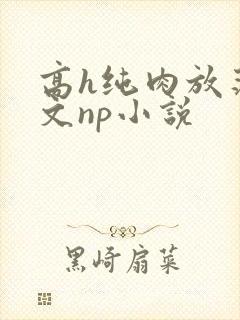 高h纯肉放荡h文np小说封面
