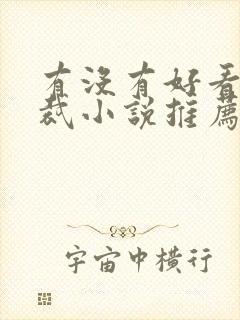 有没有好看的总裁小说推荐一下