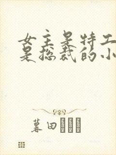 女主是特工男主是总裁的小说