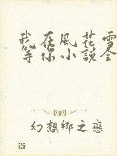 我在风花雪月里等你小说全文txt下载