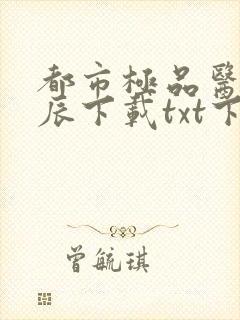 都市极品医神叶辰下载txt下载