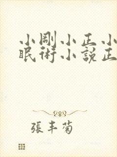 小刚小正小柔催眠术小说正版封面