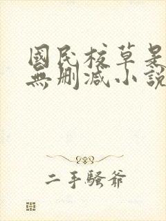 国民校草是女生无删减小说封面