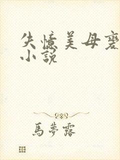 失忆美母变老婆小说封面