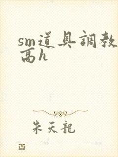 sm道具调教文高h